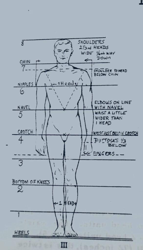 human body